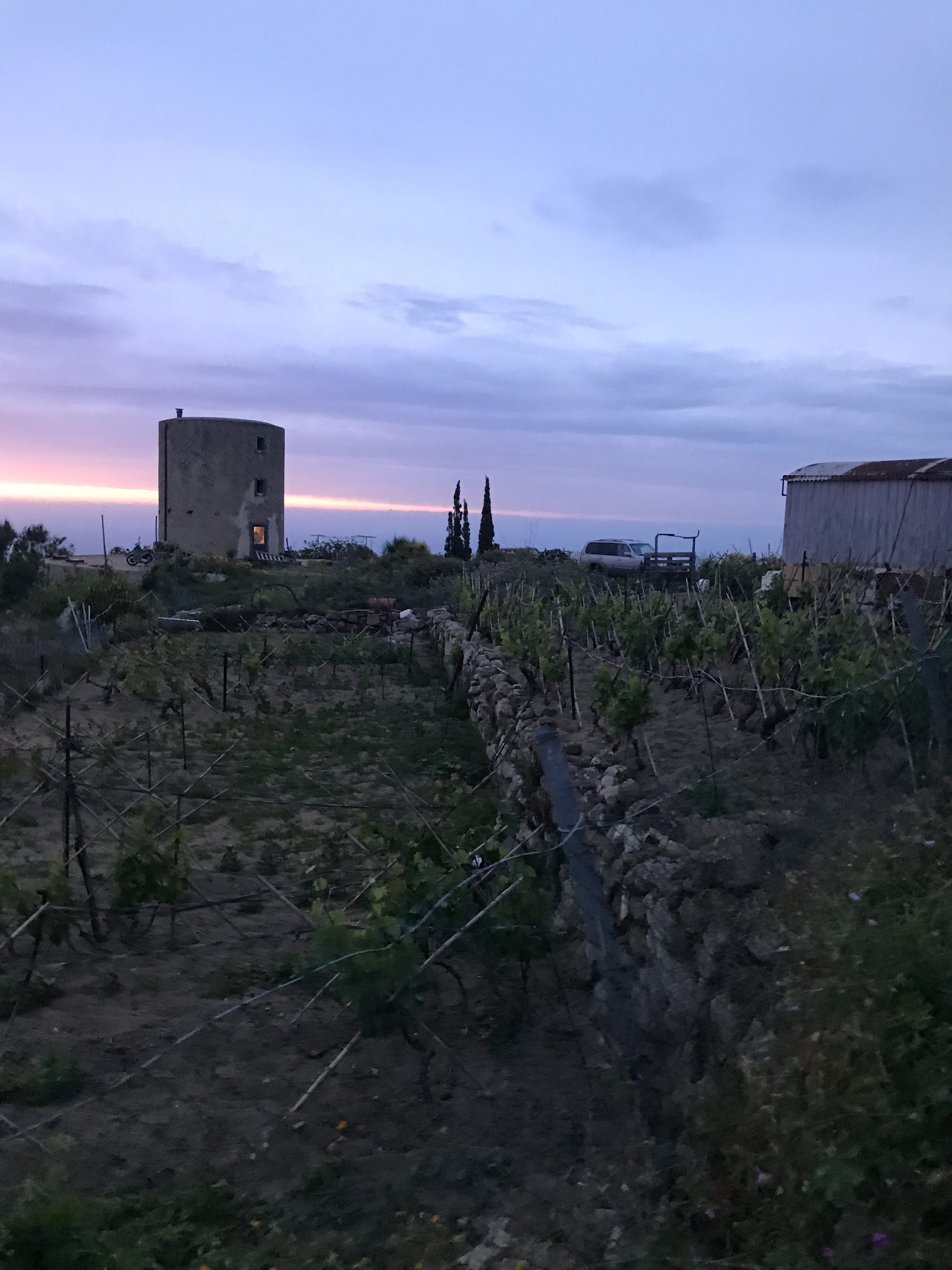 Wine country landscape
